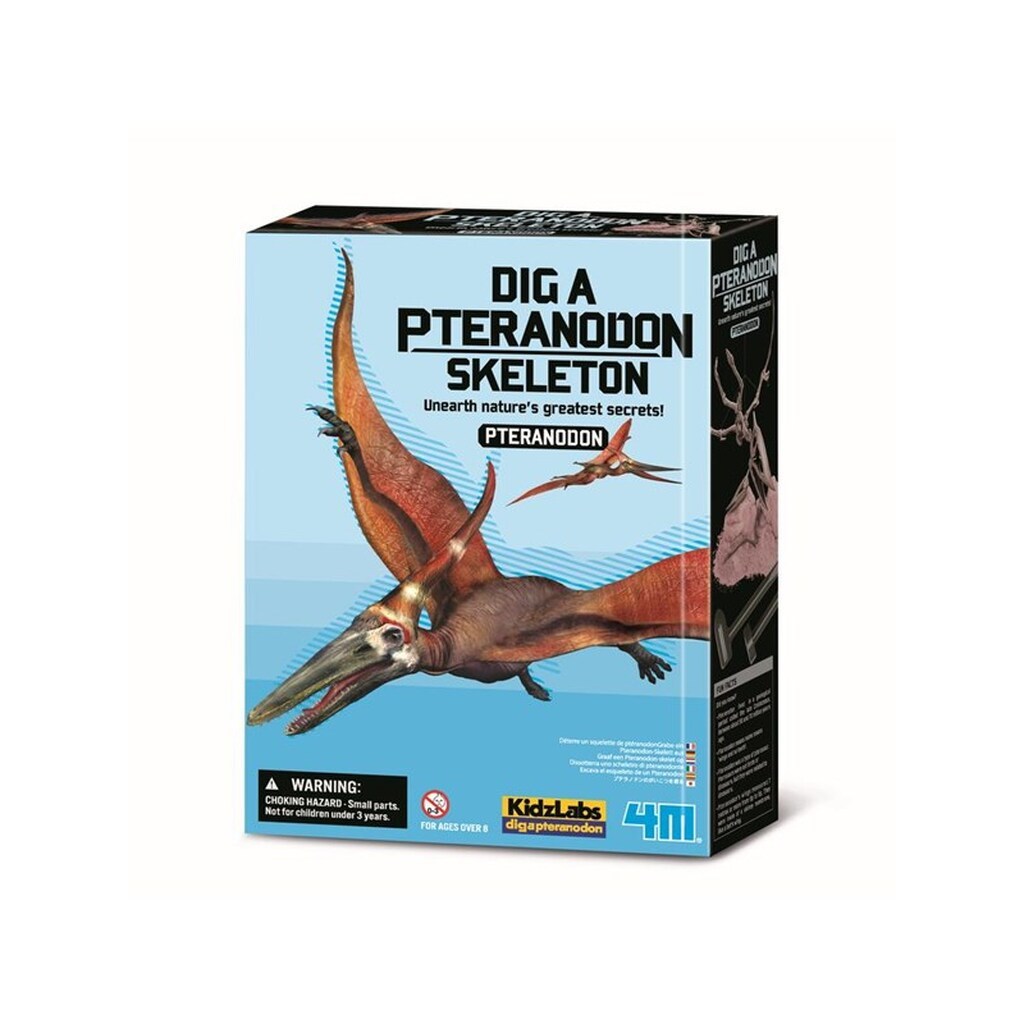 4M KidzLabs  Dig a Pteranodon skeleon