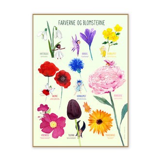 Plakat - Farverne og blomsterne