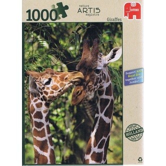 Giraffes, 1000 brikker