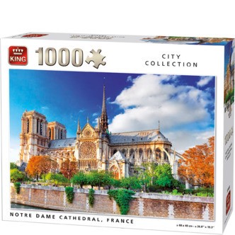 Notre Dame Cathedral, France 1000 brikker