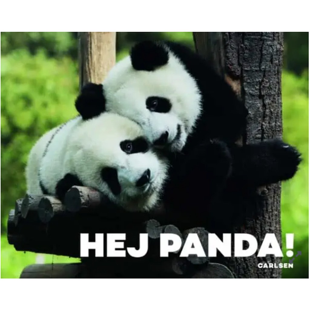 Børnebog, Hej Panda! - Legekammeraten.dk