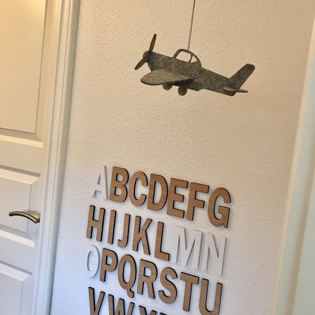 Fly i filt