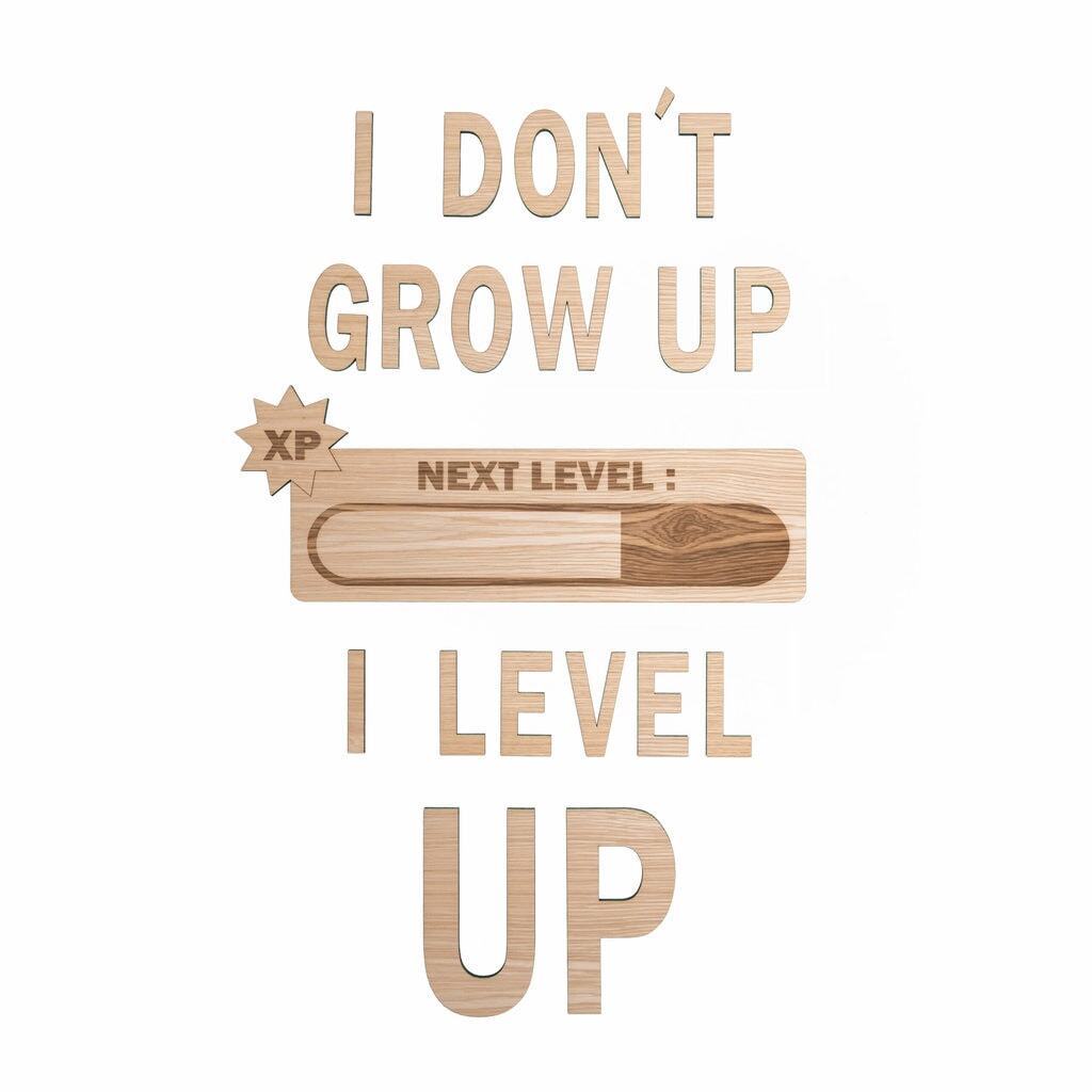 Citat sæt - I dont grow up I level up