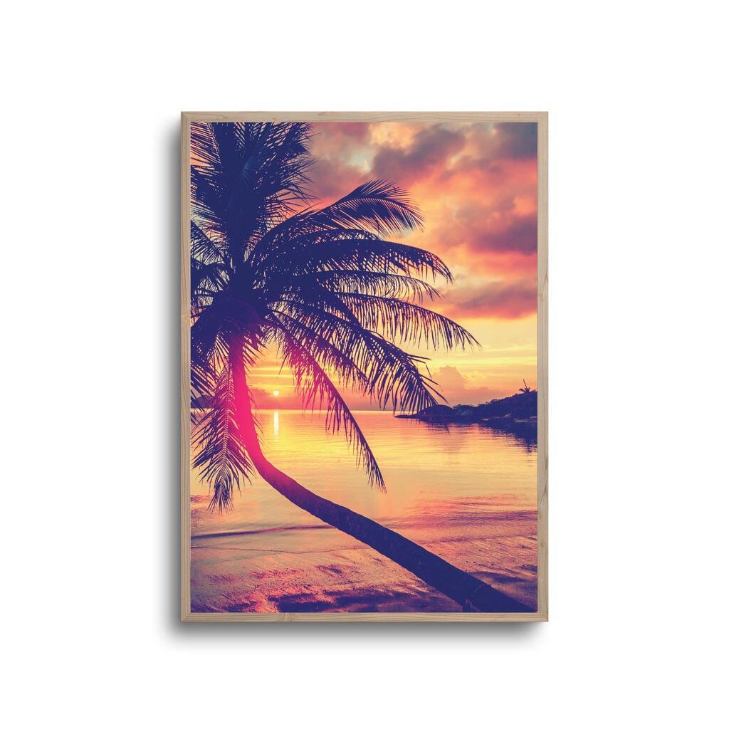 Palme på strand - Plakat