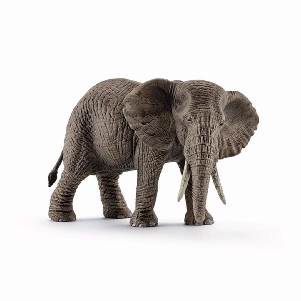 Afrikansk hun-elefant - Schleich
