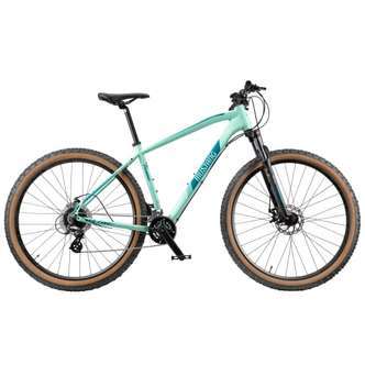Mustang Vulcan TX550 29 mountainbike med 16 gear - Mint green