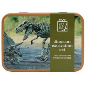 Gift In A Tin Dino Excavation