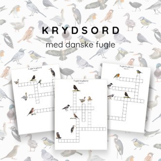 Krydsord med fugle - print selv