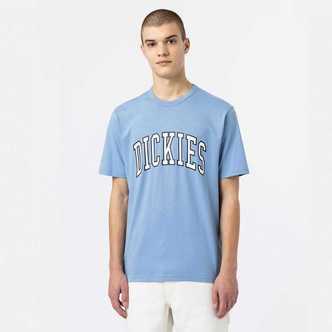 Dickies Aitkin T-Shirt Allure